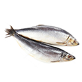 Norveç Kaynaklı<br>Ringa Balığı